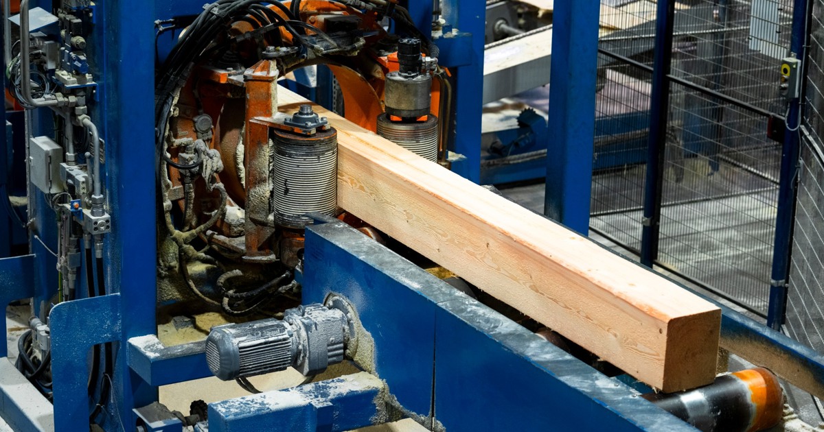 Structural Tightening in Europe’s Timber Market – Why Supply Is No ...